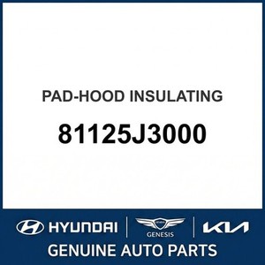 Paneles de Capó Nuevos para Veloster 81125J3000 - Product Image 1
