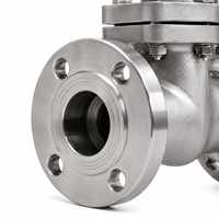 Vanne à opercule manuelle J41H CF8M Classe 300 pour applications industrielles pétrolières et gazières avec corps en acier inoxydable