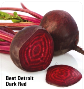 Semillas de Remolacha Roja Oscura Detroit - Product Image 1