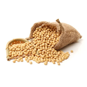 Soja No Transgénica de Alta Calidad al por Mayor para Producción de Ingredientes Alimenticios Comerciales - Product Image 1
