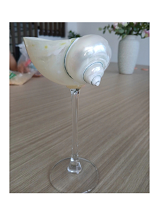 Exquisite Handmade Natural Snail Shell <b>Goblet</b> Wine Cup Decorative Seashell <b>Glass</b> For Bar Wedding Party Coastal Resort Party Use - Product Image 2