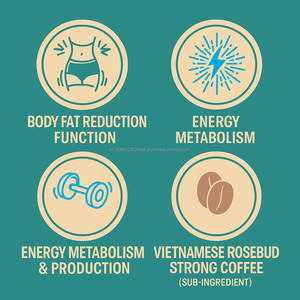 Mélange de café faible en gras aromatisé à la vanille, enrichi en Vitamine B1, Acide Pantothénique, HCA, pour le contrôle du poids chez l'adulte, la réduction des graisses et le soutien beauté, OEM - Product Image 4