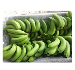 <b>Fresh</b> Cavendish <b>Banana</b> thick peel sweet aroma tropical fruit grown and packed under high standards in Vietnam - Product Image 6