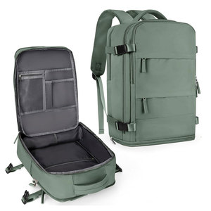 High Quality Lightweight Spacious <b>Storage</b> Comfortable Carry Travel Backpack For Business Trips And Daily Use Purpose - Product Image 1