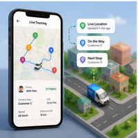 Desarrollo de Software para la Planificación de Rutas de Operaciones de Entrega Empresarial, Soluciones de Automatización con IA, Compatible con Internet y MAC
