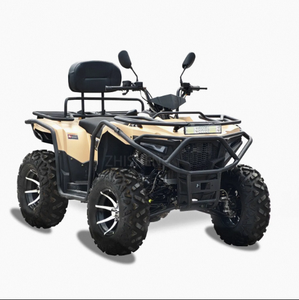 Quad 4 roues Chithan pas cher, DIY, 2 places, 200cc, 4 temps, automatique, essence/diesel, 4x4, garantie 3 ans, plastique, OEM, ODM - Product Image 2