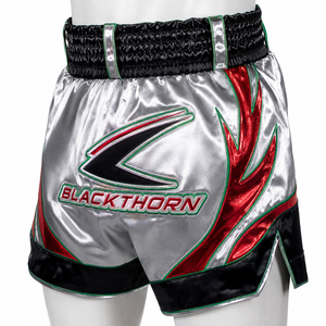 Pantalones Cortos de Muay Thai MMA para Hombre, Diseño Sólido con Estampado Frontal, Satinados, 100% Poliéster, Secado Rápido, Transpirables, con Logotipo Frontal - Product Image 2