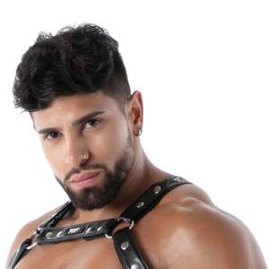 Arnés de Pecho Negro Transpirable de Piel Sintética Kinky Bulldog, Ajustable para Hombre - Product Image 4