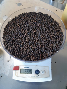 Pimienta Negra Entera Seca Cruda 500 G/L, Grado Limpio para Exportación a Granel, Origen Vietnam, Granjas de Dak Lak y Gia Lai - Product Image 6