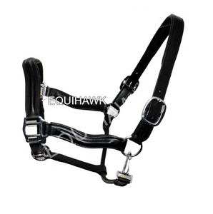 Licol de cheval de selle anglais léger en cuir doucement rembourré avec une conception de bride de quincaillerie en laiton élégante - Product Image 1