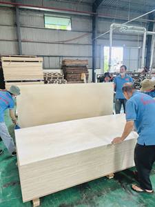 Panneaux de contreplaqué peuplier à double pressage à chaud, design moderne, âme en caoutchouc, épaisseur 12, 15, 18, 21 mm, panneau de meuble E0 sans formaldéhyde - Product Image 5