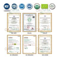 Oazvita Vegan Shilajit Antioxidant Gummies Berbasis Pektin Bebas Gelatin Suplemen Dewasa OEM