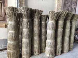High Quality Natural Seagrass Raw Material From Vietnam For Handicrafts Home Decor And Furniture Production - Product Image 5