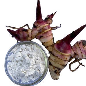 Almidón de arrowroot de la mejor calidad, harina blanca en polvo, tipo nativo de Vietnam, almidón de raíz - Product Image 3