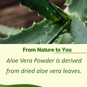 <b>Best</b> Indian Aloe Vera Leaf Powder Plant Extract Hydrating Calming Skin Hair Care Cold Pressed Health Food Grade Vacuum Packed - Product Image 1
