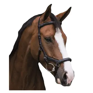 Rambo micklem Deluxe cạnh tranh Ngựa Bridle micklem ngựa bridles để bán tất cả thế giới nonperennial