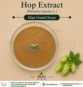 Suministro Directo de Fábrica HGO de Extracto Puro de Lúpulo (Humulus lupulus L.) (Grado Alimenticio) (Extracto en Proporción) 4:1 5:1 10:1 20:1 100:1 200:1 - Product Image 1