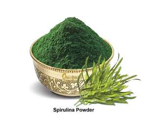 Poudre de spiruline premium la plus populaire, 100% qualité, algues naturelles pures, 60% moutonnées, ingrédient superalimentaire de qualité alimentaire pour smoothies - Product Image 4
