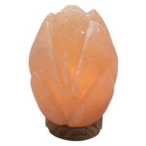 Lámpara de Sal del Himalaya Tallada en Material Orgánico con Luz USB de 5 Colores Cambiantes - Sian Enterprises - Product Image 5