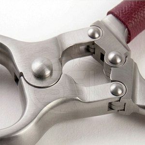 Herramienta Profesional para Cortar Pezuñas, Instrumento Veterinario Obstétrico de Acero Inoxidable con Empuñadura Roja, Duradero para Cirugía Animal - Product Image 3