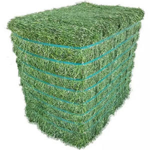 Heno de Alfalfa en Pellets y Pacas de Alta Calidad para Caballos, Cerdos y Peces - Empaquetado a Granel - Product Image 5