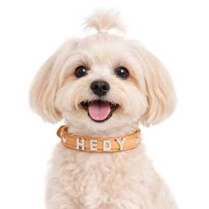 Plaque nominative coulissante personnalisée en gros avec alphabet décoratif pour chien, breloque pour animal de compagnie - Product Image 1