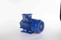 Moteur asynchrone puissant 1,5 kW 2 CV à bobinage en cuivre avec coque en aluminium robuste pour compresseur d'air