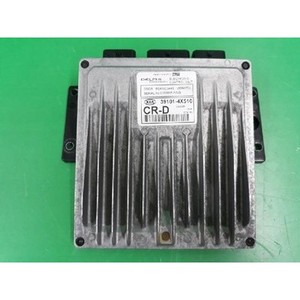Carnival a utilisé des ECU et des modules informatiques 391014X510 - Product Image 1