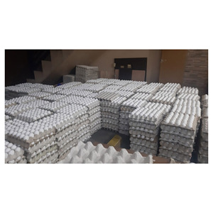 Huevos frescos de gallina blanca a granel, ideales para hornear, cocinar y fabricación de alimentos - Product Image 2