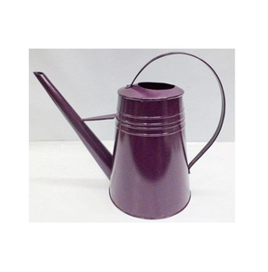 Arrosoir en métal galvanisé au design antique, dernière tendance, idéal pour la décoration intérieure et extérieure, pour arroser les plantes de jardin et de pelouse. - Product Image 4