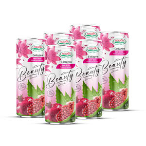 Bebida de Colágeno Premium para la Belleza, 250 ml, Jugo de Granada y Aloe Vera, Venta al por Mayor para Distribuidores de Bienestar, Suministro a Granel - Product Image 3