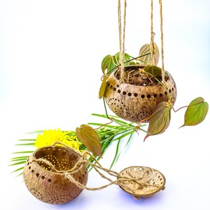 Tazón de Cáscara de Coco Natural para Ensaladas y Smoothies, Se Acepta OEM para Exportación, Juegos de Vajilla Hechos en Vietnam - Product Image 4