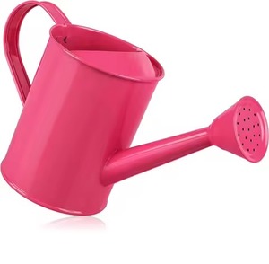 Arrosoir en métal de style contemporain, outil d'arrosage en acier inoxydable - Product Image 2