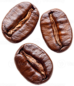 PREMIUM 100% ARABICA GREEN COFFEE BEANS RAW UNROASTED BULK SUPPLY FOR ROASTERS - Product Image 4