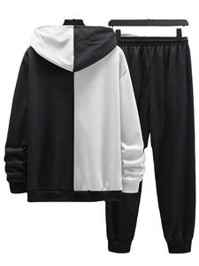 Oferta Caliente: Conjuntos Deportivos Personalizados de Felpa Técnica, Chándales Unisex, Conjuntos de Sudadera con Capucha para Hombre, Ropa Deportiva Esencial - Product Image 2