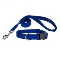 Collier de chien avec cristaux de plomb.