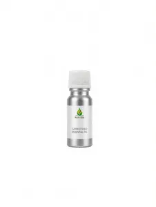 Carrot Seed Essential <b>Oil</b> 100% Pure Carrot Seed <b>Oil</b> for Cosmetics Skincare & Aromatherapy Bulk Wholesale Supplier - Product Image 1