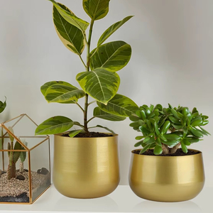 Maceta Metálica de Excelente Calidad a Precio de Mayoreo, Duradera, para Interiores, Exteriores, Jardín, Balcón y Decoración del Hogar - Product Image 1