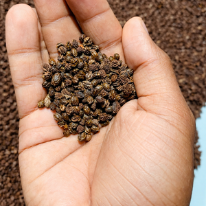 SEMILLAS DE PAPAYA SECAS / DEFENSA NATURAL / MARCA CLEAN LABEL / EARTH GROWN / MS. ALINA - Product Image 3