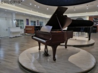 Nouveau Design Ancien Noyer Acajou Mat Piano à Queue Sculpté SG186M