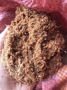 Offre Spéciale 2025 Fibre de Coco de Haute Qualité Vietnam Brun Doré Brunâtre Palette de 100 kg Meilleur Prix Litière pour Animaux Vietseafarm VSF-CF12 - Product Image 4