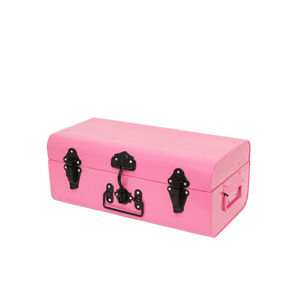 Coffre de rangement en métal galvanisé - Product Image 3