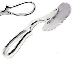 Scie à os professionnelle de qualité supérieure, outil médical pour la chirurgie, l'orthopédie, la dentisterie et la médecine vétérinaire, coupe en acier haute résistance - Product Image 6