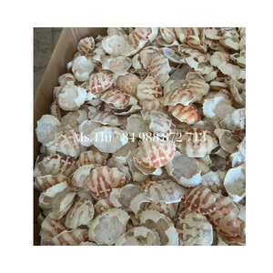 <b>CRAB</b> SHELLS ARE EXPORTED in LARGE QUANTITIES FROM VIETNAMESE SUPPLIERS at AFFORDABLE PRICES/ Ms.Thi - Product Image 4