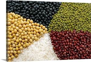 Graines de ricin 100% naturelles séchées du Brésil, approvisionnement en vrac, durée de conservation de 12 mois - Product Image 6