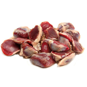 Gizzards de Pollo Congelados Halal de Primera Calidad en Venta - Gizzards de Pollo-Hígado de Pollo a Granel / Gizzards de Pollo Congelados Procesados de la Mejor Calidad - Product Image 1