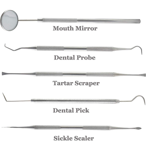 Kit de Herramientas de Limpieza Bucal Portátil de Acero Inoxidable, Certificado CE Clase I, Removedor de Placa Manual para Dentistas - Product Image 4