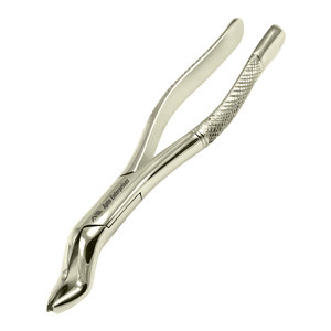 Forceps d'extraction dentaire supérieur Fig 53L, pince chirurgicale pour extraction de dents, en acier inoxydable, instrument professionnel pour dentiste - Product Image 2