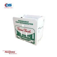 DAT THUAN PP Plastique Ondulé Gingembre Feuille Fruits Légumes Emballage Cartonplast Boîtes Brocoli Raisins Emballage Emballage Alimentaire