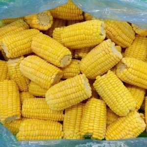 ผู้ผลิตผักแช่แข็ง IQF ข้าวโพดหวานแช่แข็งเวียดนามเพื่อการส่งออก - Product Image 1